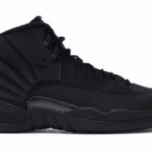 Jordan retro 12 winter black